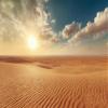 20x10ft Desert Backdrop Sahara Landscape Sand Dunes Western Sunset Nature Scenery Wild West Photograph Backdrops Wedding Birthday Party Kids Children Portrait Backdround Photoshot Studio Props view 2