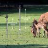4 Pack Trail Camera Mount, Trail Camera Holder, Adjustable Ground Stand for Wildlife Cameras, Universal Hunting & Trail Cameras Stake view 3