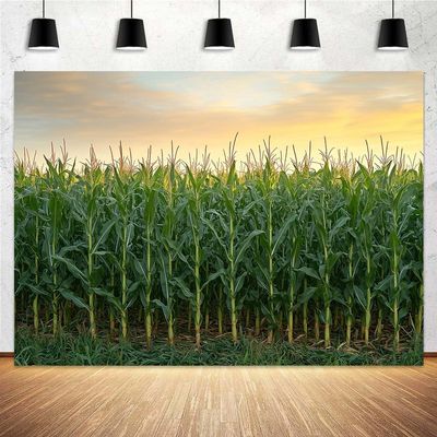 15X10ft Corn Stalks Photo Backdrop Photography Background, Green Outdoor Tall Fake Cornfield Maize Countryside Harvest Farm Party Backdrops Photo Booth Prop Decorations Wall Decor Tablecloth