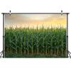 15X10ft Corn Stalks Photo Backdrop Photography Background, Green Outdoor Tall Fake Cornfield Maize Countryside Harvest Farm Party Backdrops Photo Booth Prop Decorations Wall Decor Tablecloth view 2