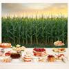 15X10ft Corn Stalks Photo Backdrop Photography Background, Green Outdoor Tall Fake Cornfield Maize Countryside Harvest Farm Party Backdrops Photo Booth Prop Decorations Wall Decor Tablecloth view 3