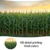 15X10ft Corn Stalks Photo Backdrop Photography Background, Green Outdoor Tall Fake Cornfield Maize Countryside Harvest Farm Party Backdrops Photo Booth Prop Decorations Wall Decor Tablecloth view 4