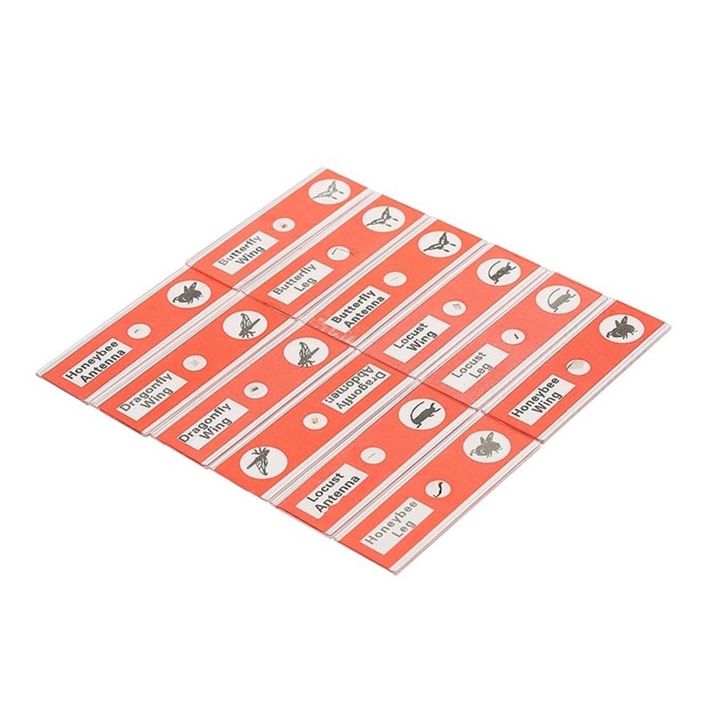 Lab Microscope Accessories 48pcs Kids Plastic Prepared Microscope Slides for Stereo Microscopes