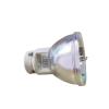 BIRCHTREES Projector Lamp Bulb P-VIP 190/0.8 E20.9n for RLC-085/RLC-093 view 1