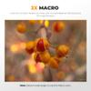 Freewell 2-in-1 Wide Angle & Macro Lens Compatible with Fuji X100VI/X100V  Versatile Design & Enhanced Magnification view 3