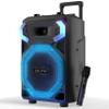 Dolphin SP-3112RBT High Powered Portable Bluetooth Speaker  12-Inch Woofer, TWS, X-BASS, UHF Microphone, Dynamic LED Lights, Long Lasting Battery view 1