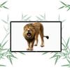 Foldable Projector Screen 16:9 HD Projection Movie Screen 50" 60" 72" Portable Outdoor Projection Screen for Home Theater Office, Anti-Crease(72in16:9) view 1