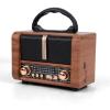 T.TAOMI Retro Portable Radio AM FM SW 3 Band,USB Charging, Shortwave Radio with Bluetooth Speaker,TF Card (Copper) view 1