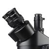 Microscope 1/2 1/3 1X 0.3X 0.5X Adapter C Mount Lens for Trinocular Stereo Microscope(1x) view 2
