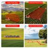 ZL166 Handheld GPS Survey Equipment, Portable Land Measuring Instrument, Surveying Equipment Distance Area Measurement Tool, High Precision Land Surveying Machine for Forest Farmland Mountain Lake view 3