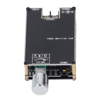 100W Sound Amplifier Module Single Channel BT USB Power Amplifier Board for Music Enthusiasts