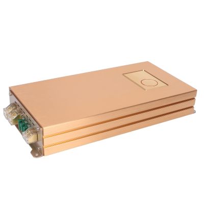 Car Amplifier 1200W MonoblockUniversal Design with Circuit IonGolden HPerfect for Auto Speaker Systems