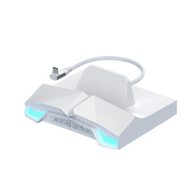 Dock 6 in 1 Universal Docking Station with 4K HDMI 2.5G RJ45 100W PD RGB Light USB C Hub(White)