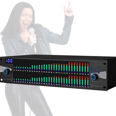 Professional Graphic Equalizer, Audio Digital Equalizador Noise Reduction, Two 31-Band Spectrum Display with Customize 10 Preset Results, for Ktv Stage Performance