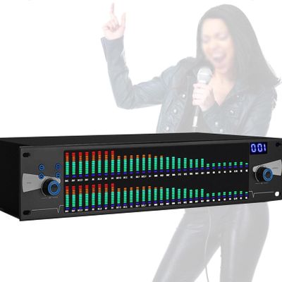 Digital Equalizer, 31-Band Graphic Equalizer with Digital Audio, 31 Bands of Spectrum, 10 Preset Effects, High, Mid and Bass Adjustments, Metal Casing
