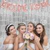 2PC Silver Streamers Party Decorations, Tinsel Backdrop Curtain Fringe Door Streamers Backdrop Party Decorations, Silver Fringe Backdrop for Disco Bachelorette Birthday Decorations view 3