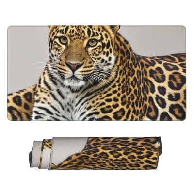 MousePad Large MouseMat with Anti-Slip Rubber Base Leopard Print MousePads for Man Woman Computer Mousepad for Wireless Mouses Keyboard Mat Gaming Desk Pad for Home