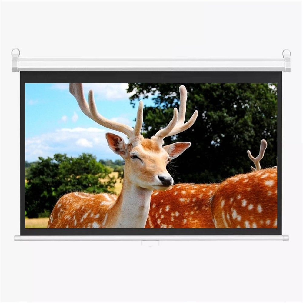 16:9/4:3 Projector Screen Manual Pull Down Projector Screen for Office Home Anti Crease Portable Projector Movies Screen with Auto Locking 60" 72" 84" 100"(72''(16:9))