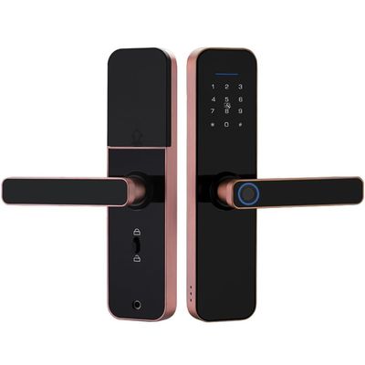 HIONJIN Control Unlocking Recognition Fingerprint Waterproof Smart Lock(White-Dinosaur Doodle4)