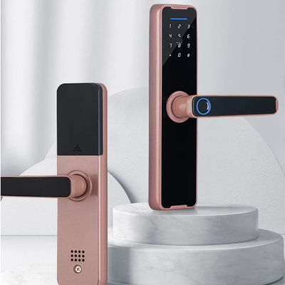 HIONJIN Wooden Door Biological Fingerprint Lock, Electronic Intelligent Lock, Remote Keyless Unlock Control