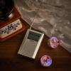 Saillong 2 Ghost Hunting Kit Includes Spirit AM FM Radio Box Paranormal Ghost Hunting Equipment Tools with Light up Cat Ball LED Glowing Motion Activated Cat Ball Toy view 4