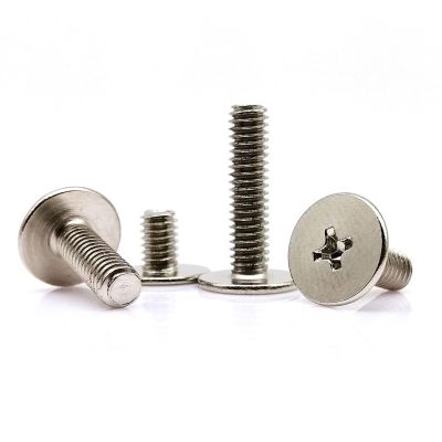 25X M2 M2.5 M3 M4 Phillips Ultrathin Thin Wafer Flat Extra Big Large Head Bolt Screw for Laptop Notebook Mount Repair Computer G(6mm,M2.5 dk 7mm)