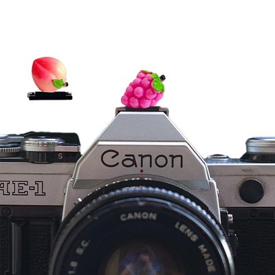 Camera Hot Shoe Cover, Cute Hot Shoe Cap, Hot Shoe Protector Compatible with Sony Fujifilm Fuji Canon Nikon Pentax Leical Panasonic (2pcs Grape Peach)
