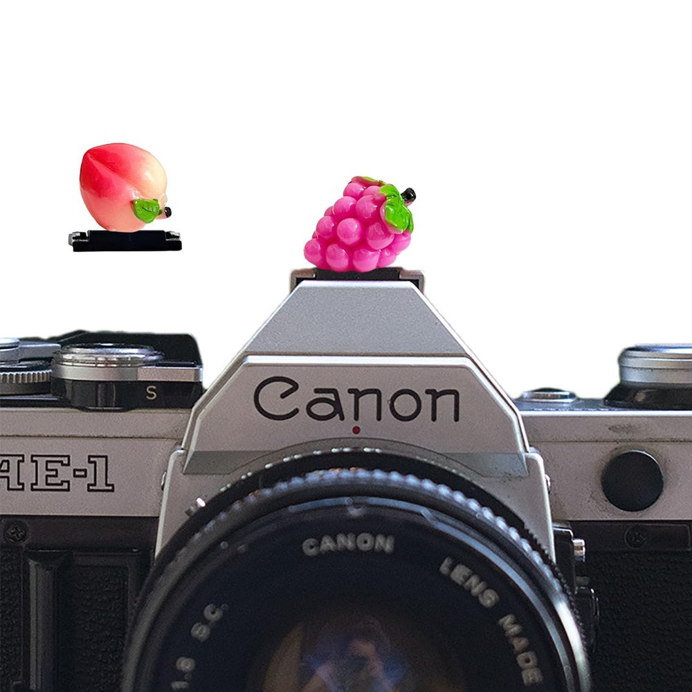 Camera Hot Shoe Cover, Cute Hot Shoe Cap, Hot Shoe Protector Compatible with Sony Fujifilm Fuji Canon Nikon Pentax Leical Panasonic (2pcs Grape Peach)