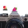 Camera Hot Shoe Cover, Cute Hot Shoe Cap, Hot Shoe Protector Compatible with Sony Fujifilm Fuji Canon Nikon Pentax Leical Panasonic (2pcs Grape Peach) view 1