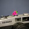 Camera Hot Shoe Cover, Cute Hot Shoe Cap, Hot Shoe Protector Compatible with Sony Fujifilm Fuji Canon Nikon Pentax Leical Panasonic (2pcs Grape Peach) view 3