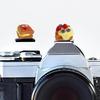 Camera Hot Shoe Cover, Cute Hot Shoe Cap, Hot Shoe Protector Compatible with Sony Fujifilm Fuji Canon Nikon Pentax Leical Panasonic (2pcs Butter Bread) view 1