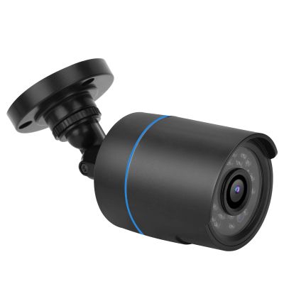 1080P AHD Camera, Security Camera 1080P AHD Camera IP66 Night View Infrared Security Monitor Digital Camera for Indoor Outdoor (NTSC)