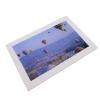 10inch High Brightness Digital Picture Frame HD 1280x800 Electronic Photo Frame for Photos Videos in Home Office (US Plug) view 1