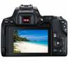 Canon EOS 250D/Rebel SL3 Bundle:Includes 18-55 & 75-300mmLens,Tripod,64GB Memory Card,Carry Case, and 3-Piece Filter Kit for Stunning Photos and Videos (Renewed) view 3