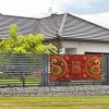 Year of The Snake 2025 Happy Chinese New Year 2025 Banner Backdrop Large Banner Decorations Yard Signs Indoor Outdoor Party Decorations view 3