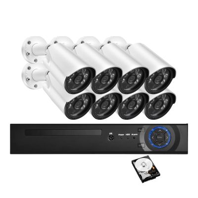 QDVOPHZA IP Camera Motion Detection & Alarm Alert 8CH 8MP Face Detection CCTV Video Monitoring Kit(2T,4CH n 2Cams n Cables)