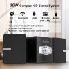 Home Stereo System with CD Player, FM Radio, Bluetooth, AUX in, USB in, Earphone Jack, Remote Control Included, 30W HiFi Shelf Stereo System view 2