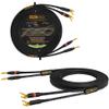 WORLDS BEST CABLES 4 Foot WBC-GOLD-LOCAP-SPKR-12 AWG - Low-Capacitance - Low-Inductance - High Purity OFC - Audiophile HiFi Speaker Cable Pair with Eminence Gold Banana (x2) & Spade (x2) Plugs view 1