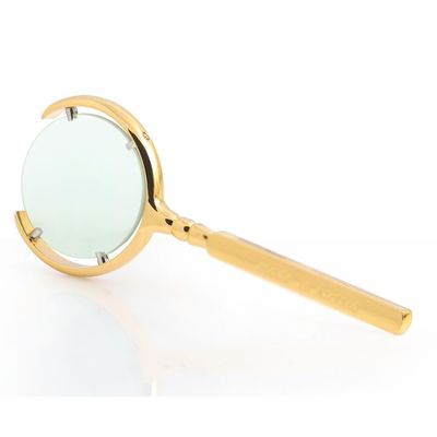 JSEIAJB Handheld Magnifier Magnifier Reading Magnifying Glass for Reading Book Inspection Coins Map(White-Dinosaur Doodle4)