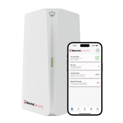 SafeBiz - Wireless Cybersecurity Solution, Next-Gen Firewall, Web Filtering, Phishing/Ransomware/Malicious Website Protection - Wifi6E, 4.3 Gbps, 3000 Sq.Ft Coverage