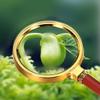 JSEIAJB 8X Handheld Reading Magnifier Optical Magnifier Suitable for Children, The Elderly, Jewelry Appreciation Large Lens Magnifier view 3