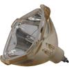 Jaspertronics OEM Lamp (Bulb Only) for The Christie LC-XNB3D Projector with Philips Bulb Inside - 240 Day Warranty view 2