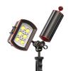 Carbon Fiber Underwater Float Arm with Dual Ball Mounts for Photography and Video, Compatible with Diving Trays, Video Lights, Strobes (red, 60mm8') view 4