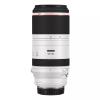 Camera Lens Sticker Coat Wrap 100 500 Protective Wrap Film Protector Decal Skin for Canon RF 100-500mm F4.5-7.1 L is USM (Stain White) view 1