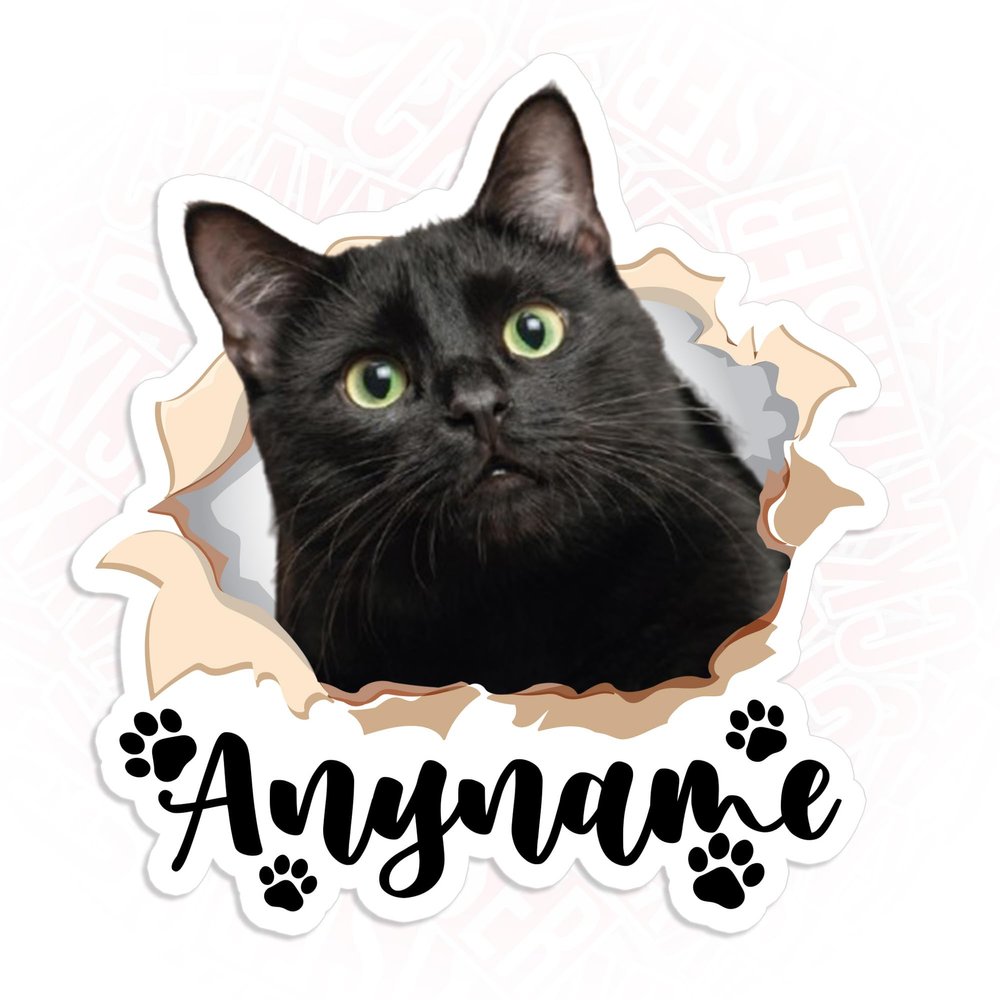 Custom Cat Dog Mom Sticker Personalized Dog Cat Face Photo and Name Stickers Cute Waterproof Die-Cut Vinyl Laptop Sticker, Water Bottle Sticker, Funny Car Birthday Gifts for Her Him