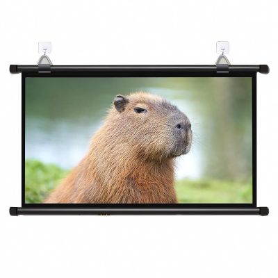 60 Inch Portable Indoor Outdoor Projector Screen, 16:9 Roll-up Projection Movie Screen for School, Theatre, Cinema, Home