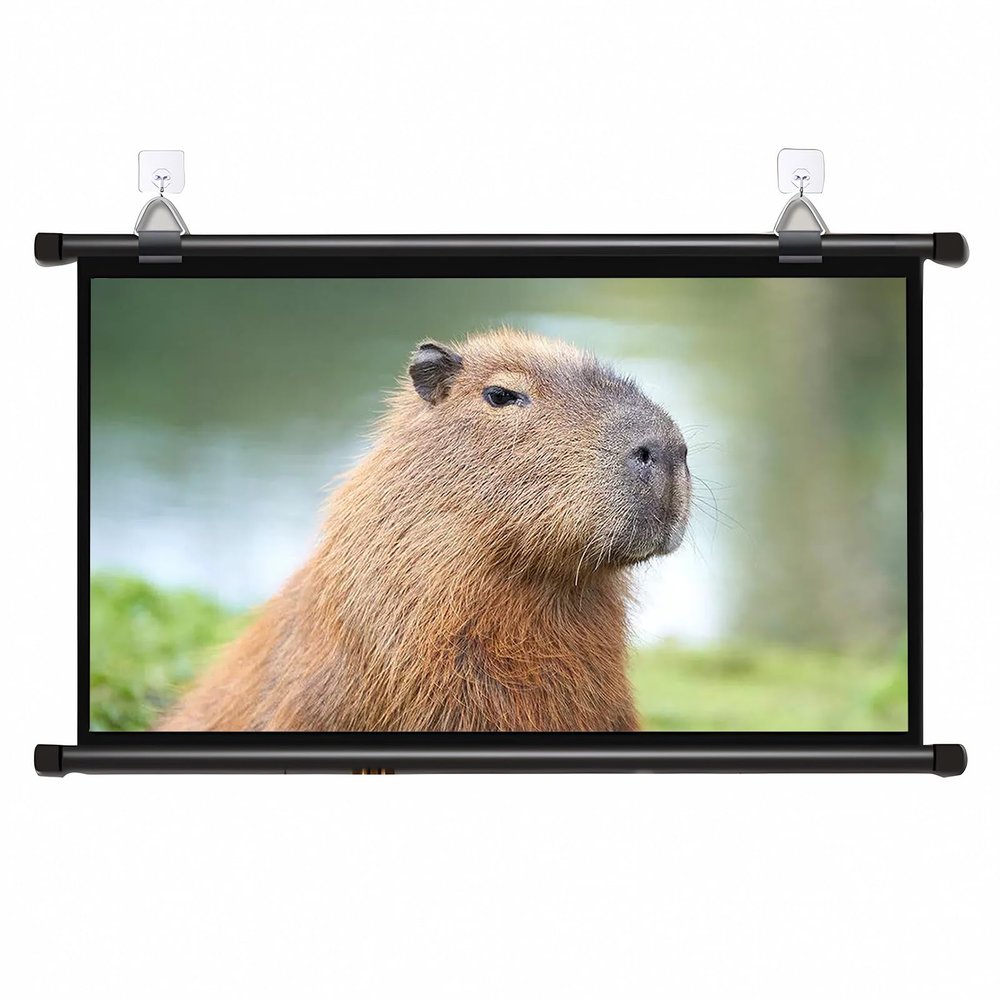 60 Inch Portable Indoor Outdoor Projector Screen, 16:9 Roll-up Projection Movie Screen for School, Theatre, Cinema, Home