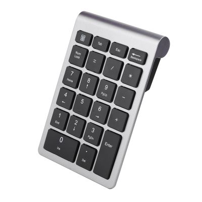 Naroote Number Pad for Laptop, Numeric Keypad for Laptop RF304 22 Keys Numeric Keypad USB 2.4G Numeric Keypads Mini Keyboard with Receiver (Iron Gray)