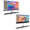 80 INCH Stand Screen and 60 INCH Stand Screen Combo view 1