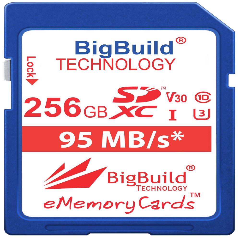 BigBuild Technology 256GB U3 SDXC Memory Card for Panasonic Lumix DC-S9/S9KE-A, DC-G9 II, GH7 Cameras